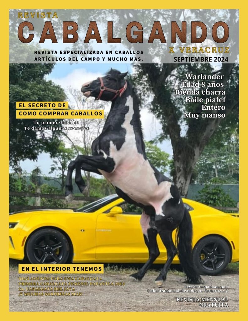 PORTADA REVISTA DE SEPTIEMBRE 2024